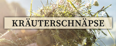 Kräuterschnäpse | gepflückte Bergwiesenkräuter