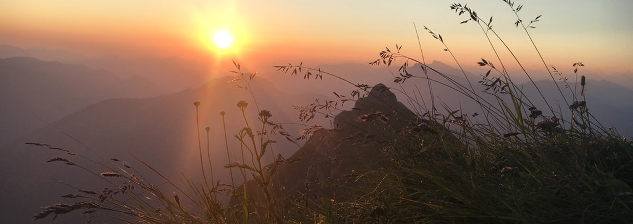 Kräutererwachen | Die ersten Frühlingsboten