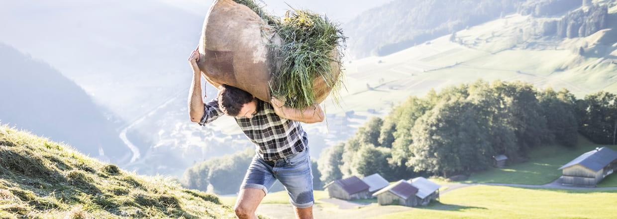 Junger Bergbauer trägt ein Bündel gemähte Wiesenkräuter einen Berghang hinauf
