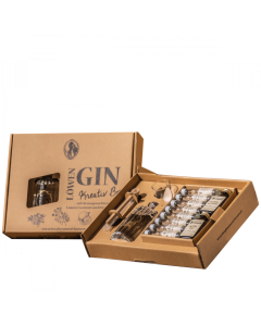 Gin Kreativ Box