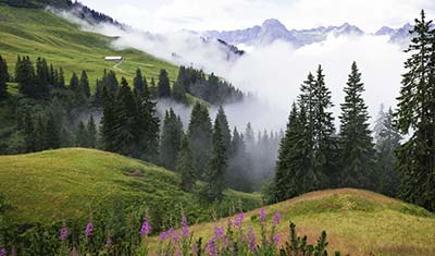 Bei der Seilbahnfahrt auf den Diedamskopf sieht man den Gipfel vom Falzer Kopf.