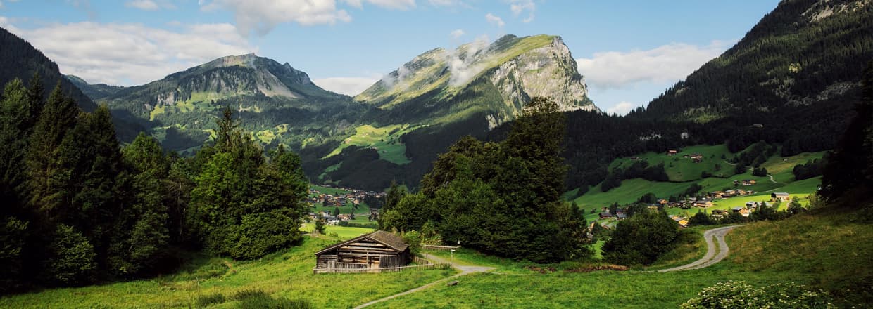 Das Naturerlebnis Holdamoos - mit Blick auf die Kanisfluh