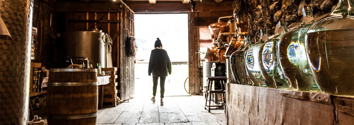 Brennerei-Raum – vorne rechts stehen fünf Glasballons mit Destillaten