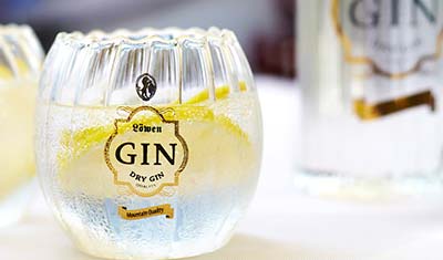 Gin Tastings | Tauchen Sie ein in die Welt des Gins Gin Tonic: Eisgekühlt mit Löwen Dry Gin und Zitronenscheibe