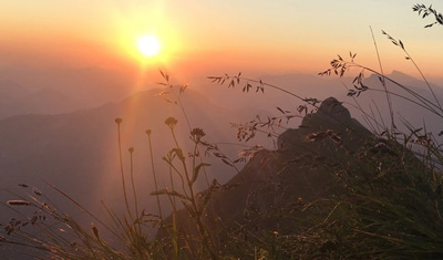 Sonnenuntergang in den Bergen mit Frühlingskräutern