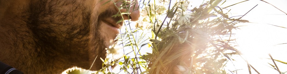 Kräuterliköre & Kräuterbitter | Die Essenzen der Berge und Wälder