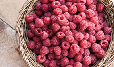 Löwen Obstbrand mit frischen Himbeeren