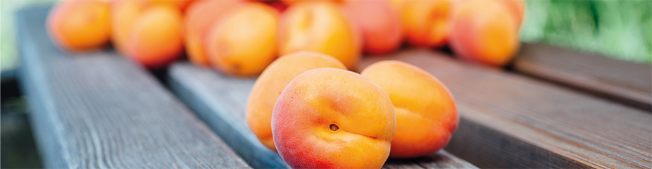 Löwen Sirup | Aus erlesenen Früchten